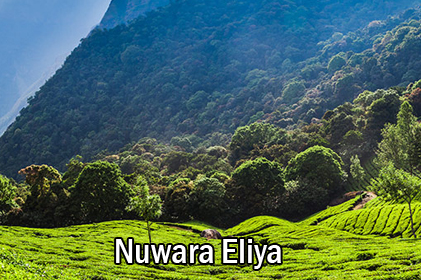 SERANDIB ISLAND-Nuwara Eliya-1