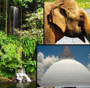 WANDER SRI LANKA TOUR PACKAGE